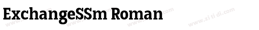 ExchangeSSm Roman字体转换 ExchangeSSm Roman字体转换